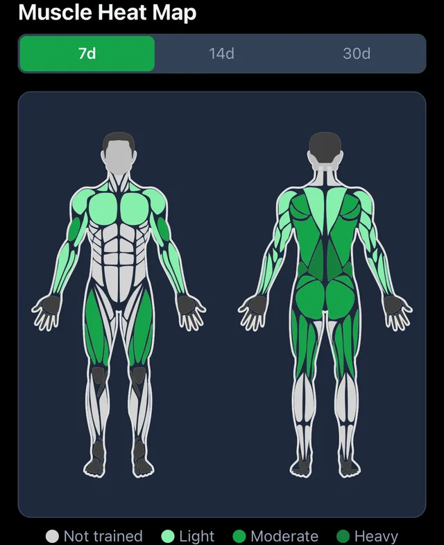 The Muscle Heat Map in Strength Almanac: front and back body shaded by how much each muscle was trained in 7 days